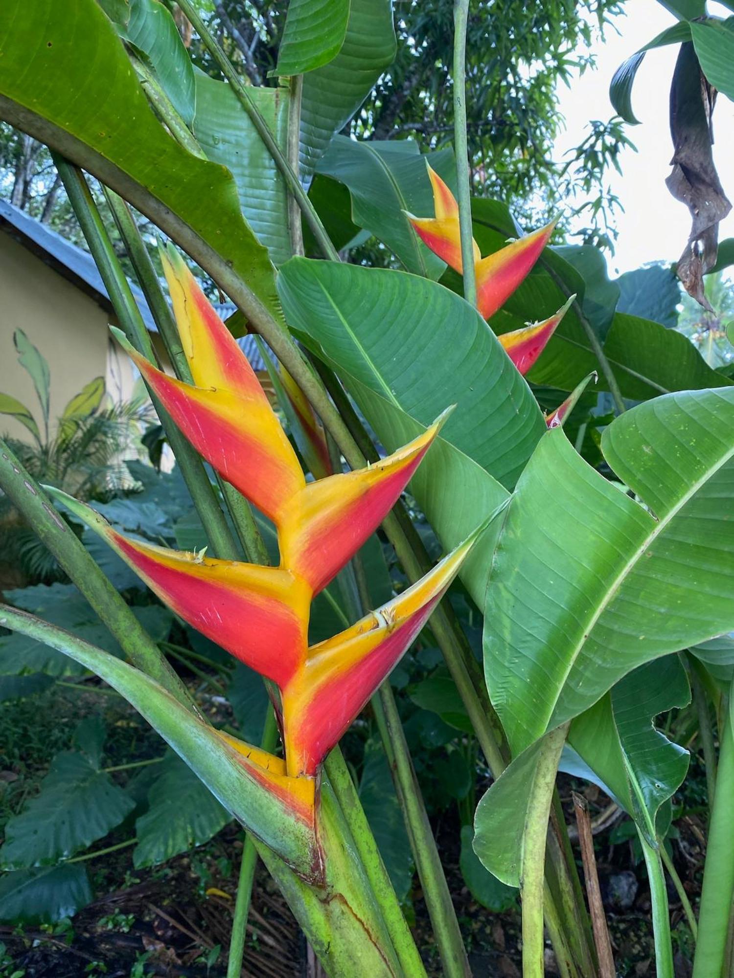 Campito Loving Bed & Breakfast Higuey Luaran gambar