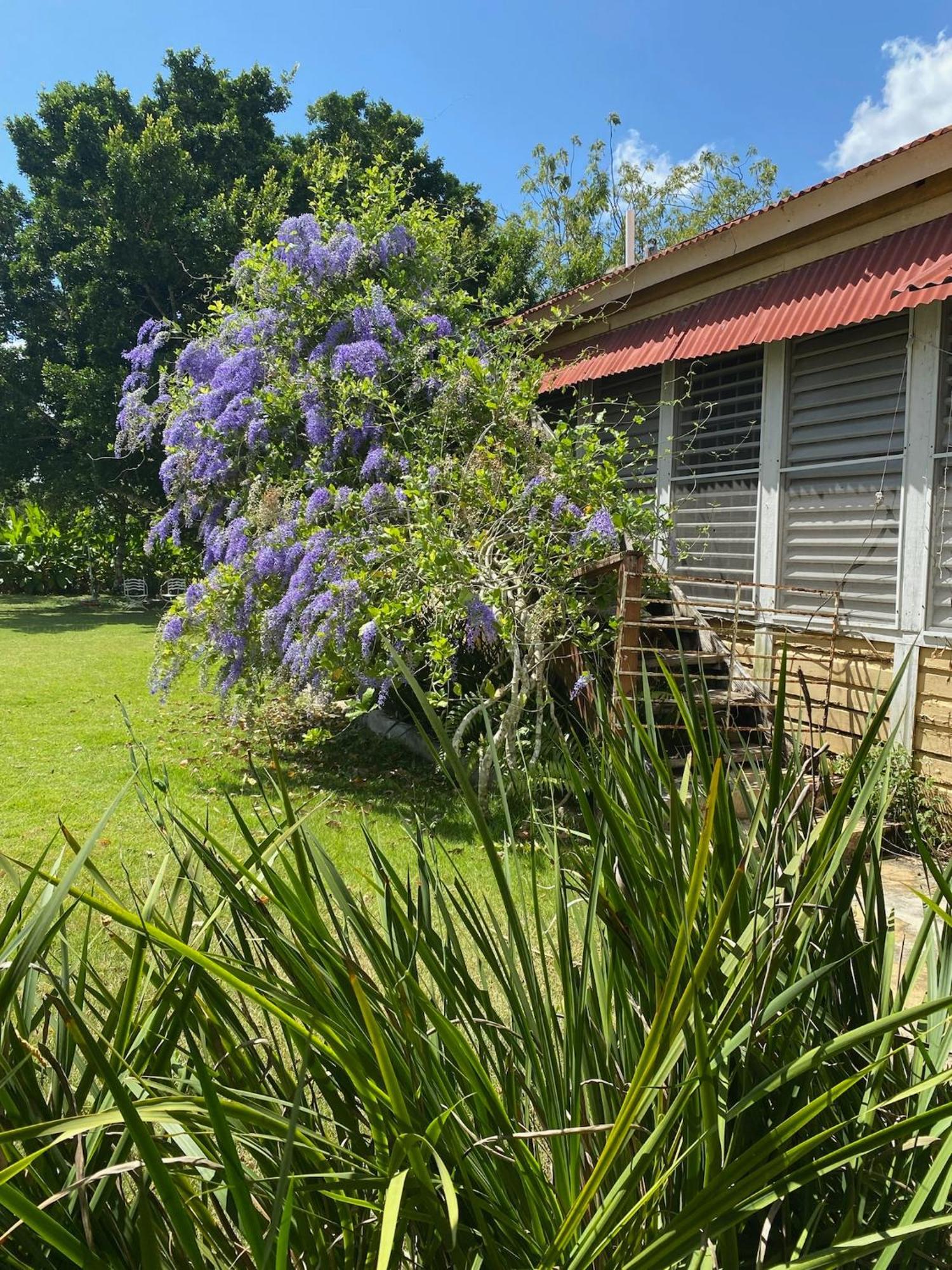 Campito Loving Bed & Breakfast Higuey Luaran gambar