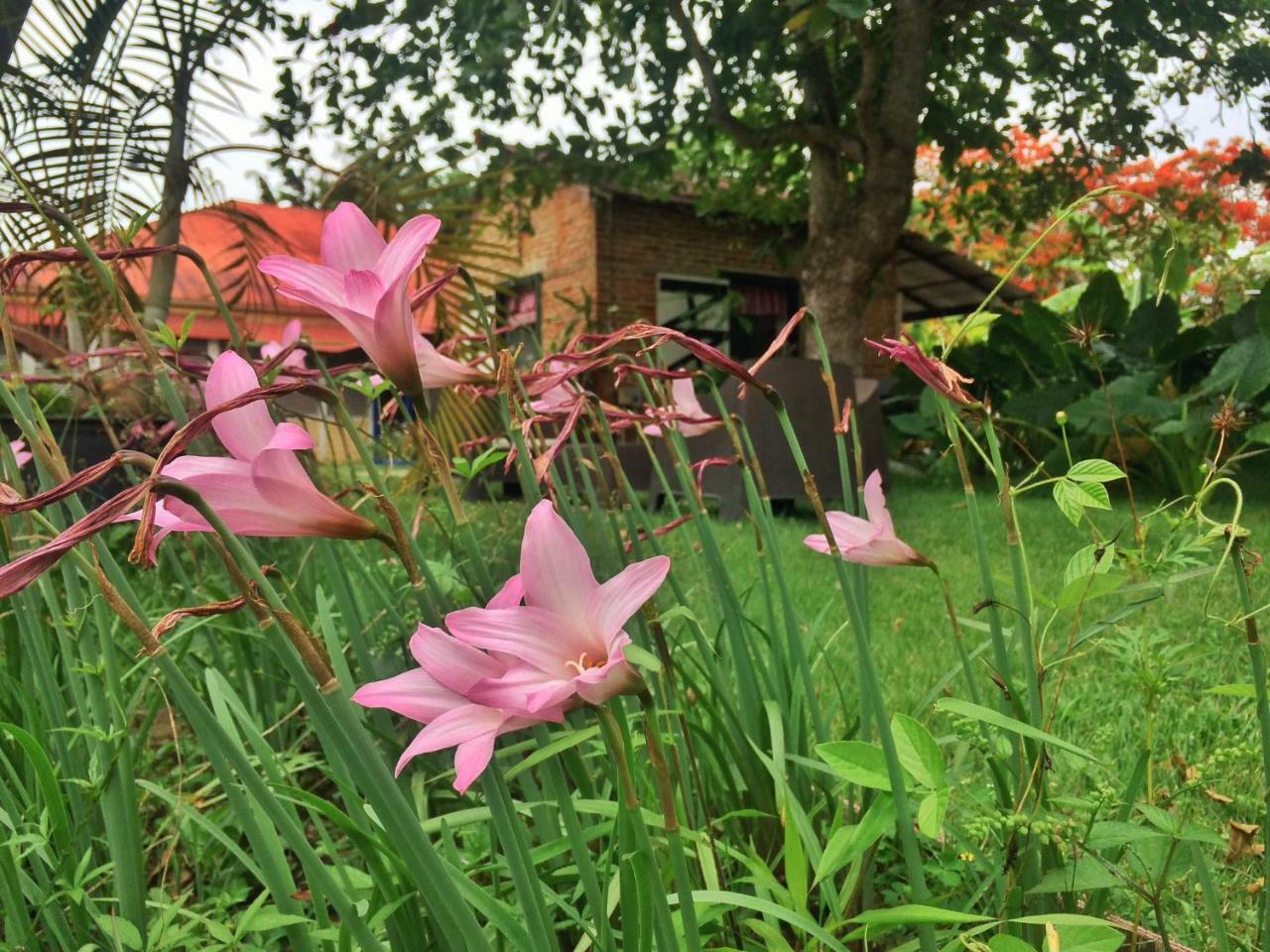 Campito Loving Bed & Breakfast Higuey Luaran gambar